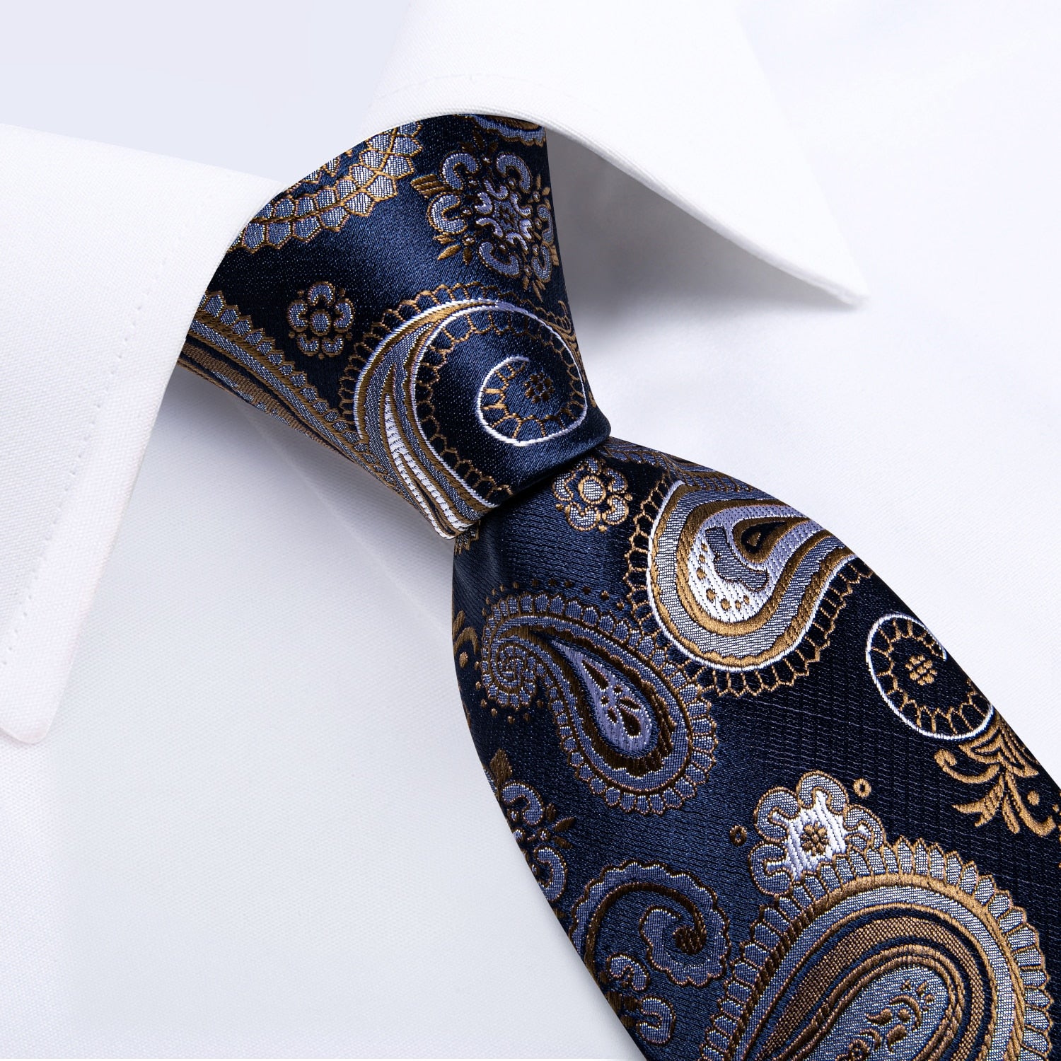 Luxury Business Paisley Tie Set