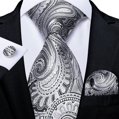 Luxury Business Paisley Tie Set