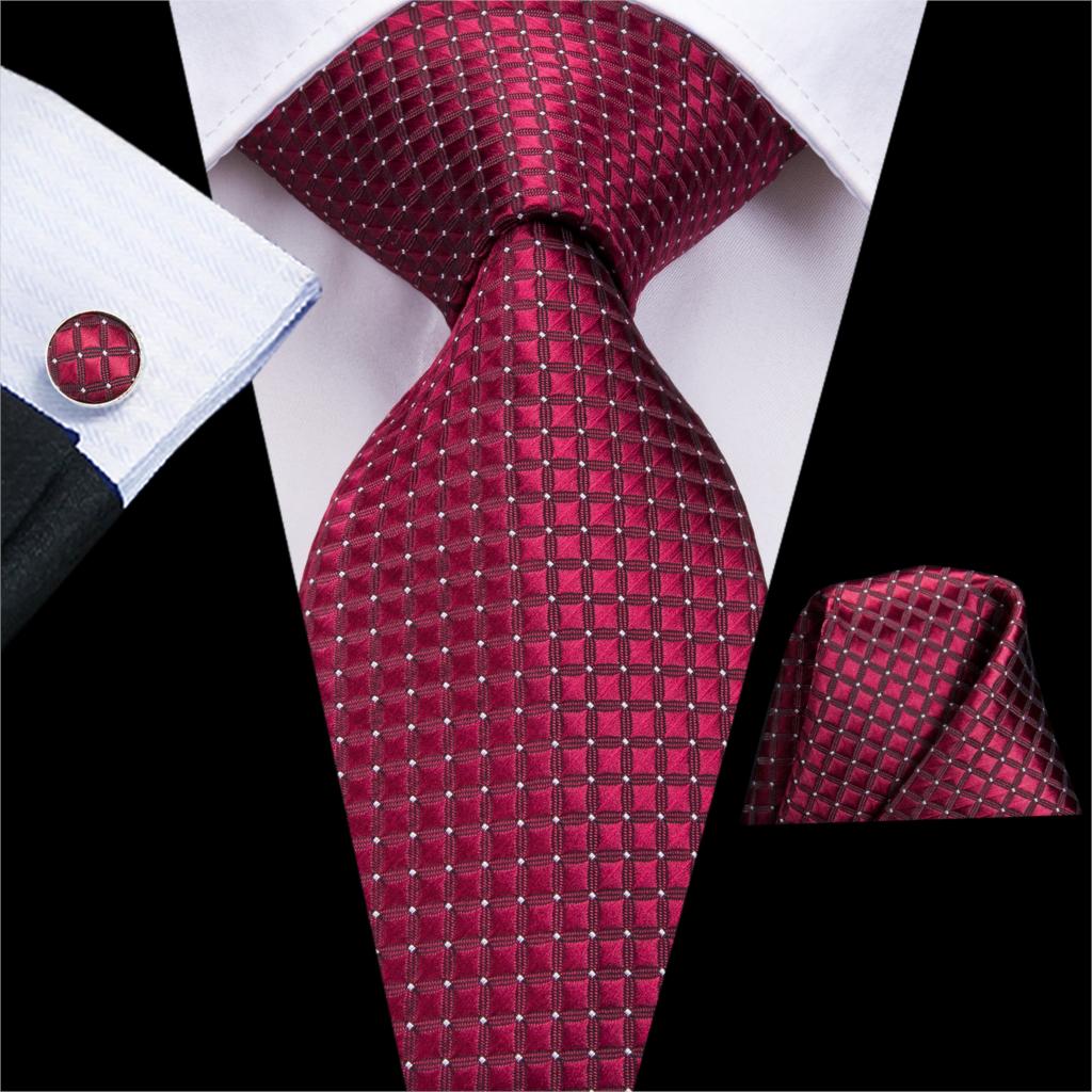 Burgundy Paisley Silk Tie