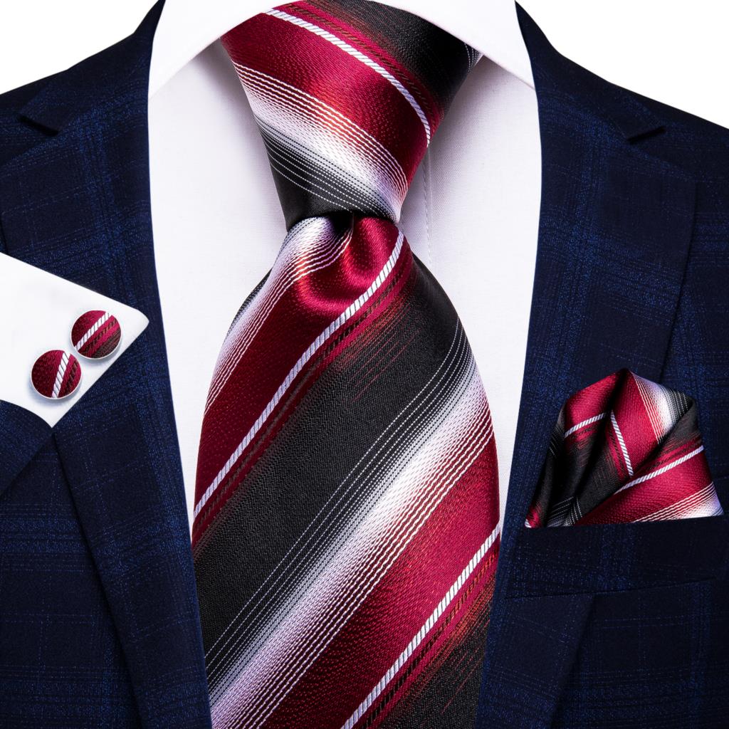 Silk Luxury Ties Set