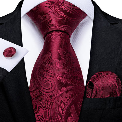 Luxury Business Paisley Tie Set