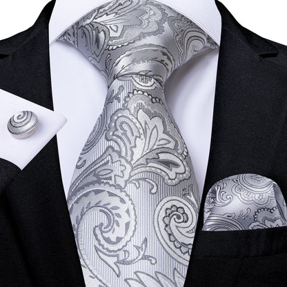 Gray Paisley Silk Ties Set