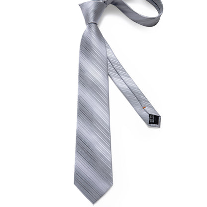 Gray Paisley Silk Ties Set