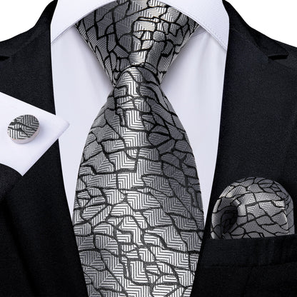 Gray Paisley Silk Ties Set