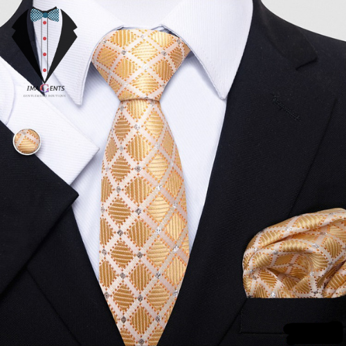 Fashion Silk Tie Set